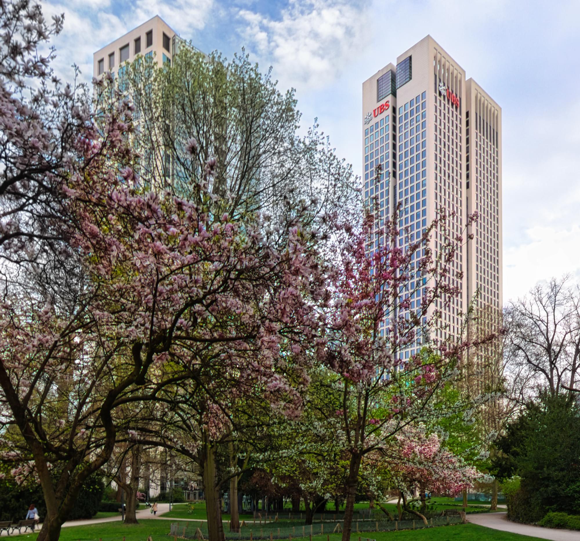 Park Tower und Opernturm mit Blick vom Rothschildpark, April 2025.