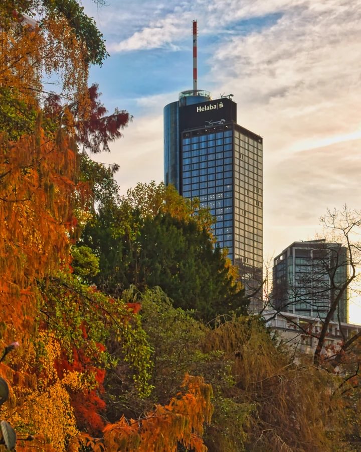 Main Tower mit Blick von der Bockenheimer Anlage im Herbstkleid, 2025.